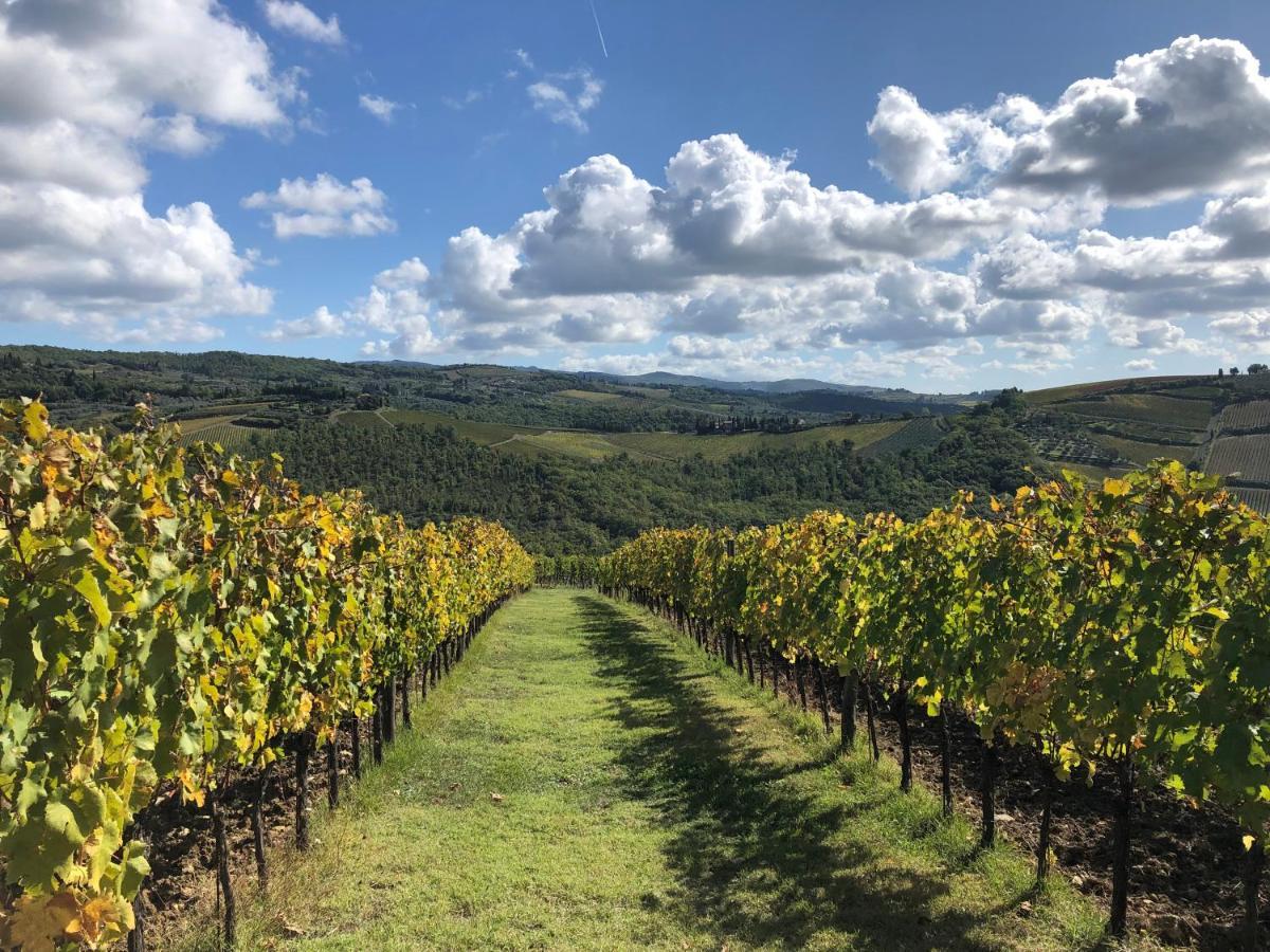 Fattoria Di Rignana Winery Bnb グレーヴェ・イン・キアンティ エクステリア 写真