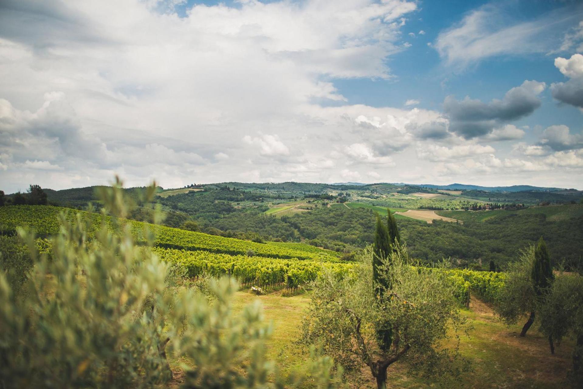 Fattoria Di Rignana Winery Bnb グレーヴェ・イン・キアンティ エクステリア 写真