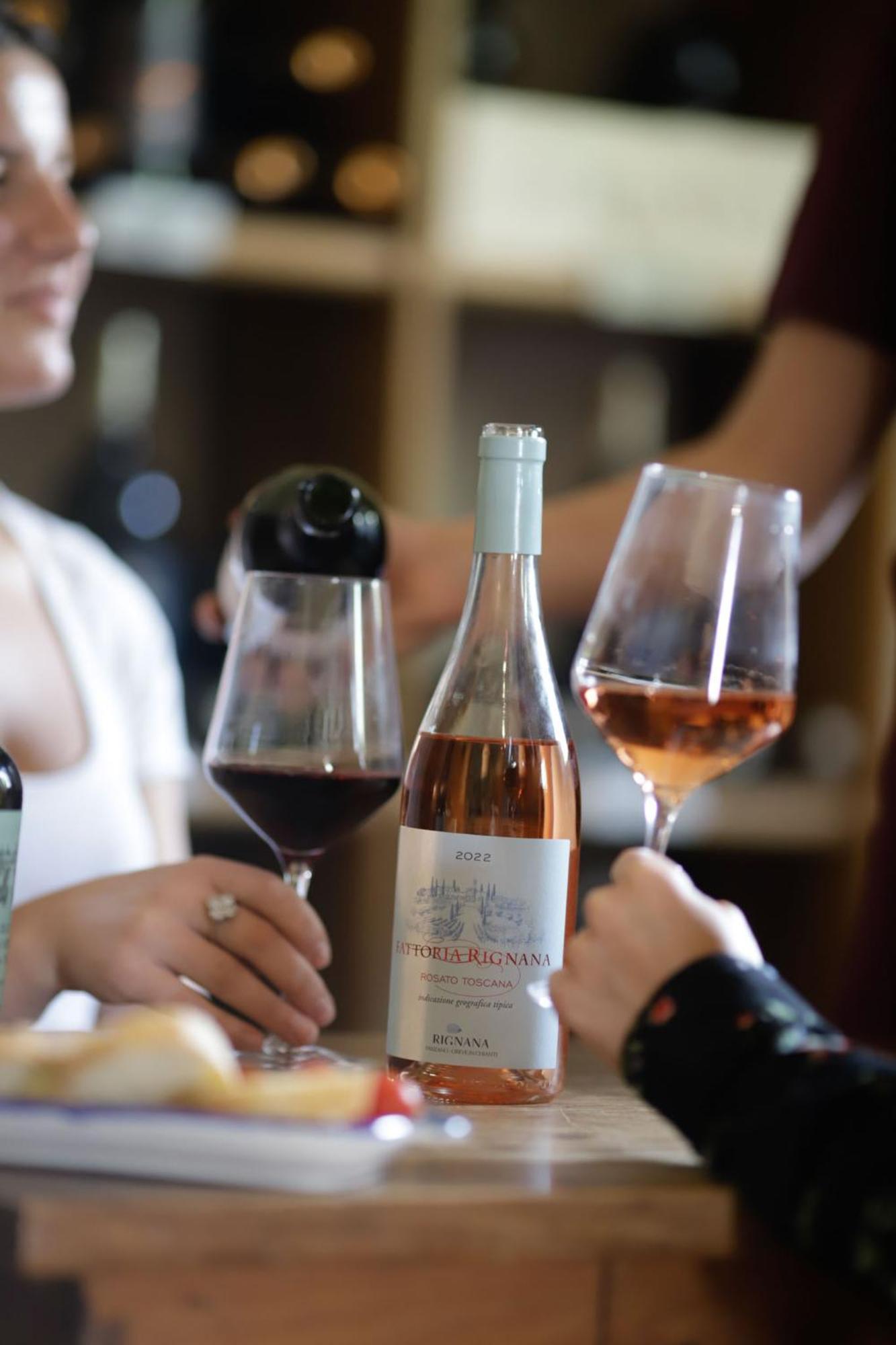 Fattoria Di Rignana Winery Bnb グレーヴェ・イン・キアンティ エクステリア 写真