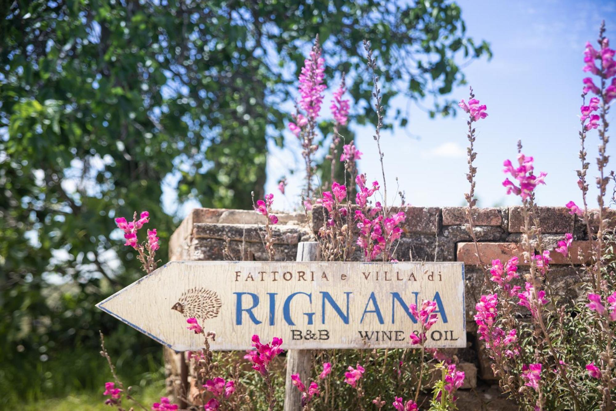 Fattoria Di Rignana Winery Bnb グレーヴェ・イン・キアンティ エクステリア 写真